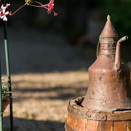 Il Leccio - Casa Toscana Il Fienile Holiday home *
