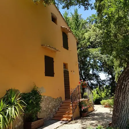 Il Leccio - Casa Toscana Il Fienile Holiday home *