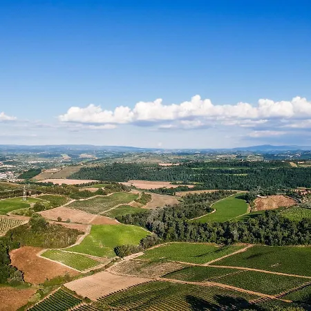 Il Leccio - Casa Toscana Il Fienile Holiday home Gambassi Terme
