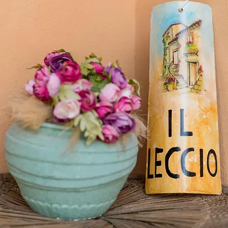 Holiday home Il Leccio - Casa Toscana Il Fienile