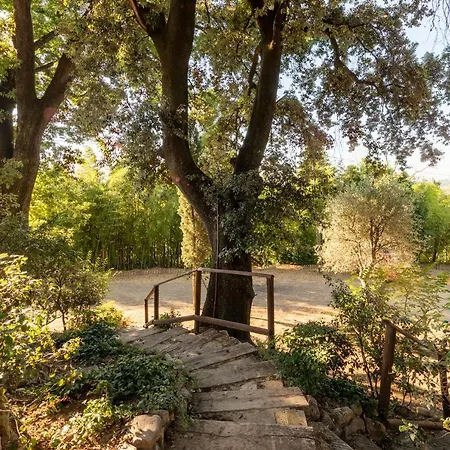 Il Leccio - Casa Toscana Il Fienile * Gambassi Terme